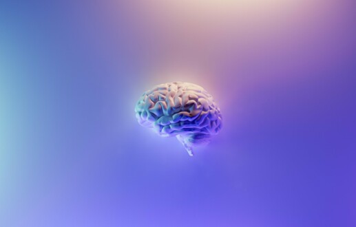 Cerebro, Sexo y Orgasmos
